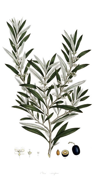 Home Left Sidebar Image